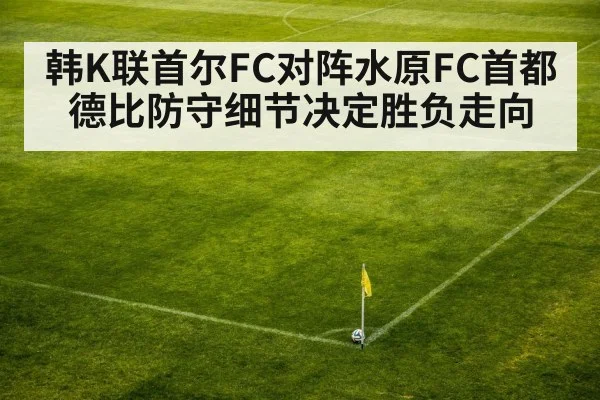 韩K联首尔FC对阵水原FC首都德比防守细节决定胜负走向